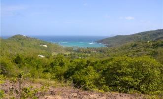 Spring Estate Lot 57