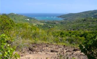 Spring Estate Lots 55 & 57