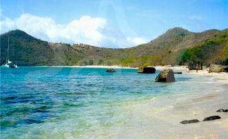 3.4 Acres Headland Lot 47