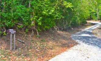 Spring Estate Lot 2