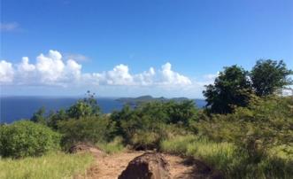 Mount Pleasant Residential Land B