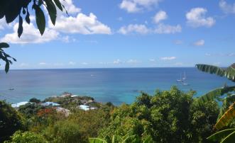 Lower Bay & Princess Margaret Ridge Land Plot 1