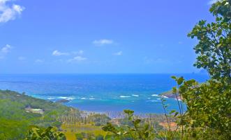 Spring Estate Lots 36 37 & 56