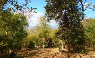 Golf Park Land Whole Plot