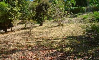 Golf Park Land Whole Plot