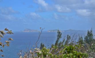 Friendship Heights Lot 8