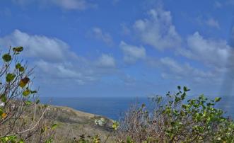 Friendship Heights Lot 8