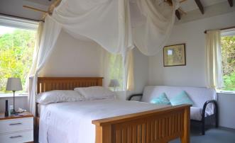The Cotton Tree