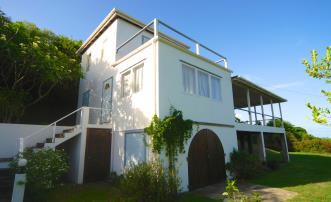 The Cotton Tree