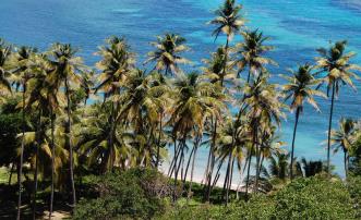 Crown Point Land Lot A18