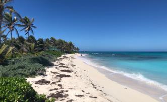 Palm Island Beachfront Land