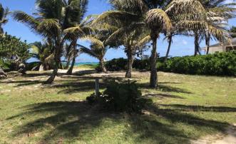 Palm Island Beachfront Land