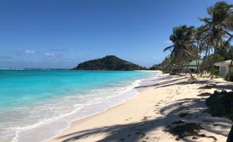 Palm Island Beachfront Land