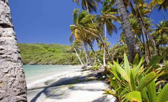 Firefly Beachfront Land Bequia