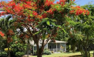1 Bougainvillea Gate Park