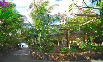 Waterfront Hotel & Restaurant Bougainvilla