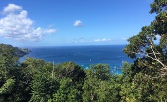 Mount Pleasant Land - Admiralty Bay Views
