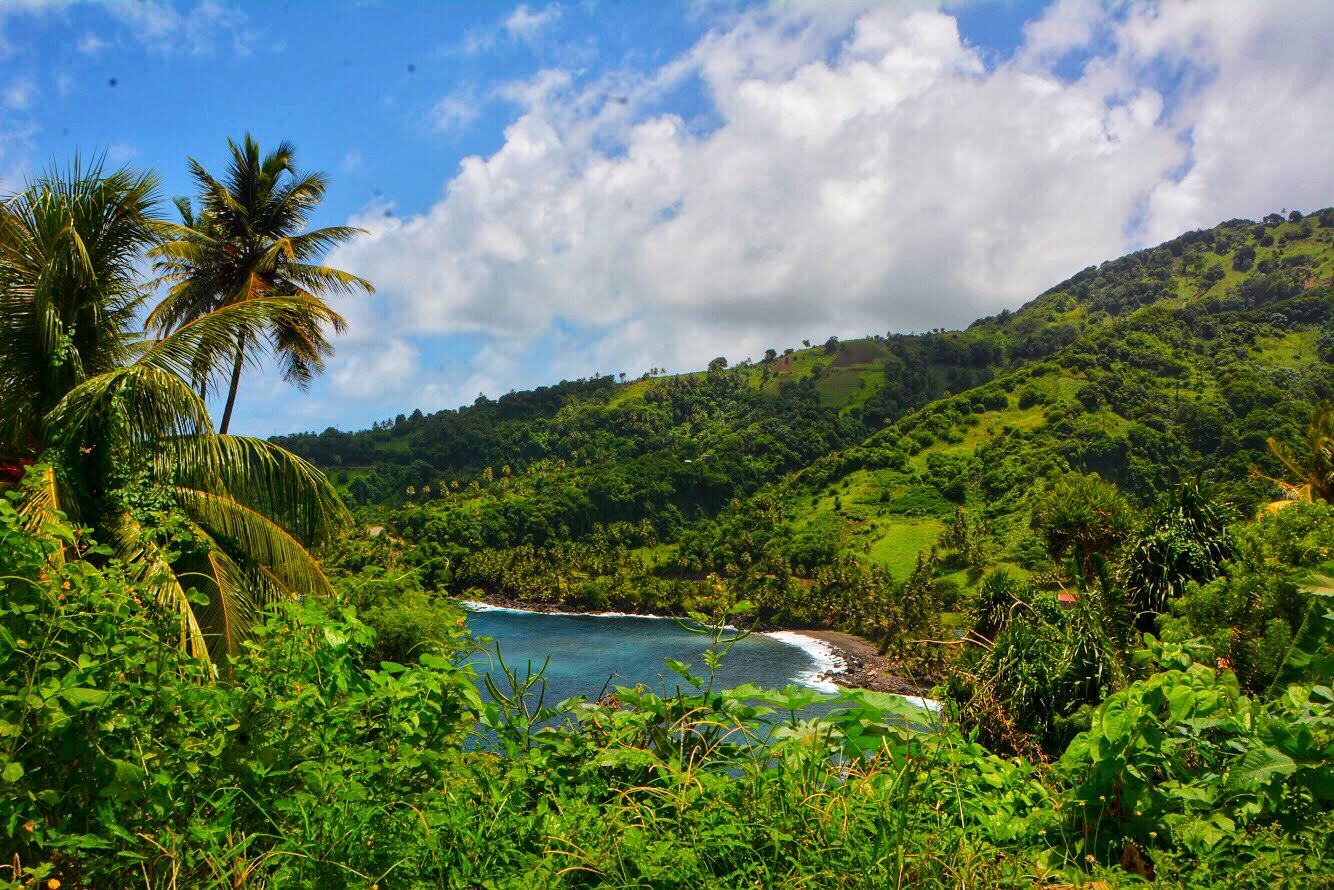 Saint Vincent & the Grenadines travel