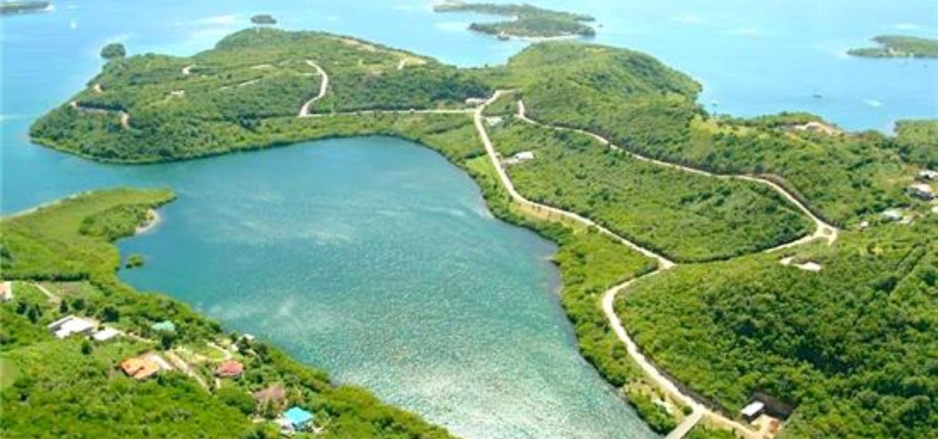 vacation-rentals/grenada/grenada-island/st--georges/robyns-nest-long-term-rentals