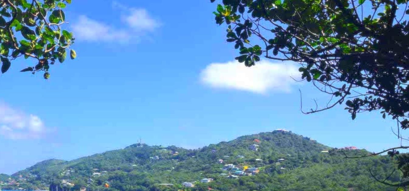 Belles Point - Lower Bay - Land