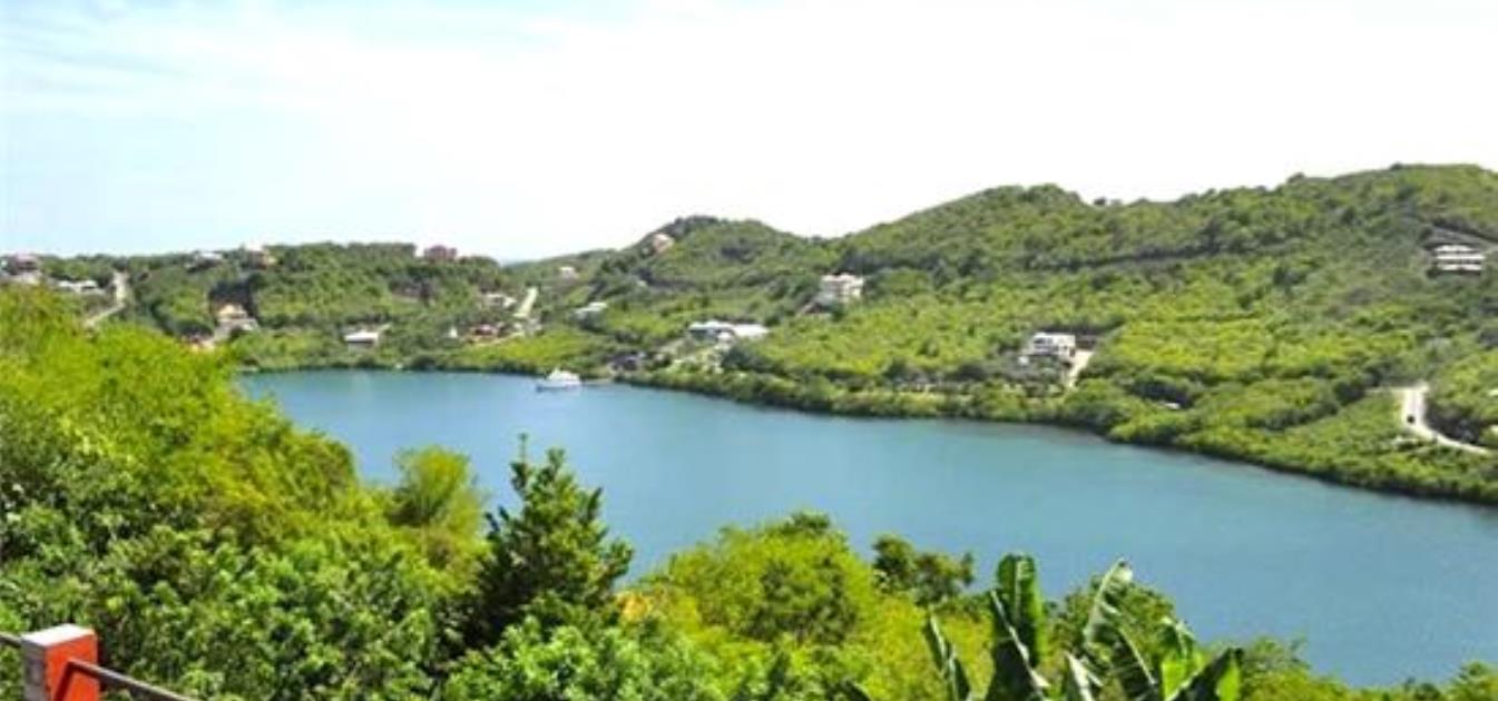 vacation-rentals/grenada/grenada-island/st--georges/robyns-nest-long-term-rentals