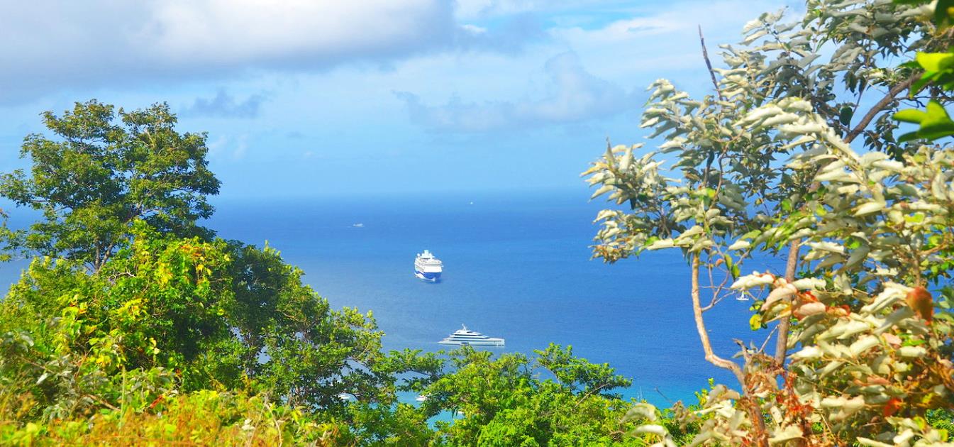Mount Pleasant Land - Admiralty Bay Views