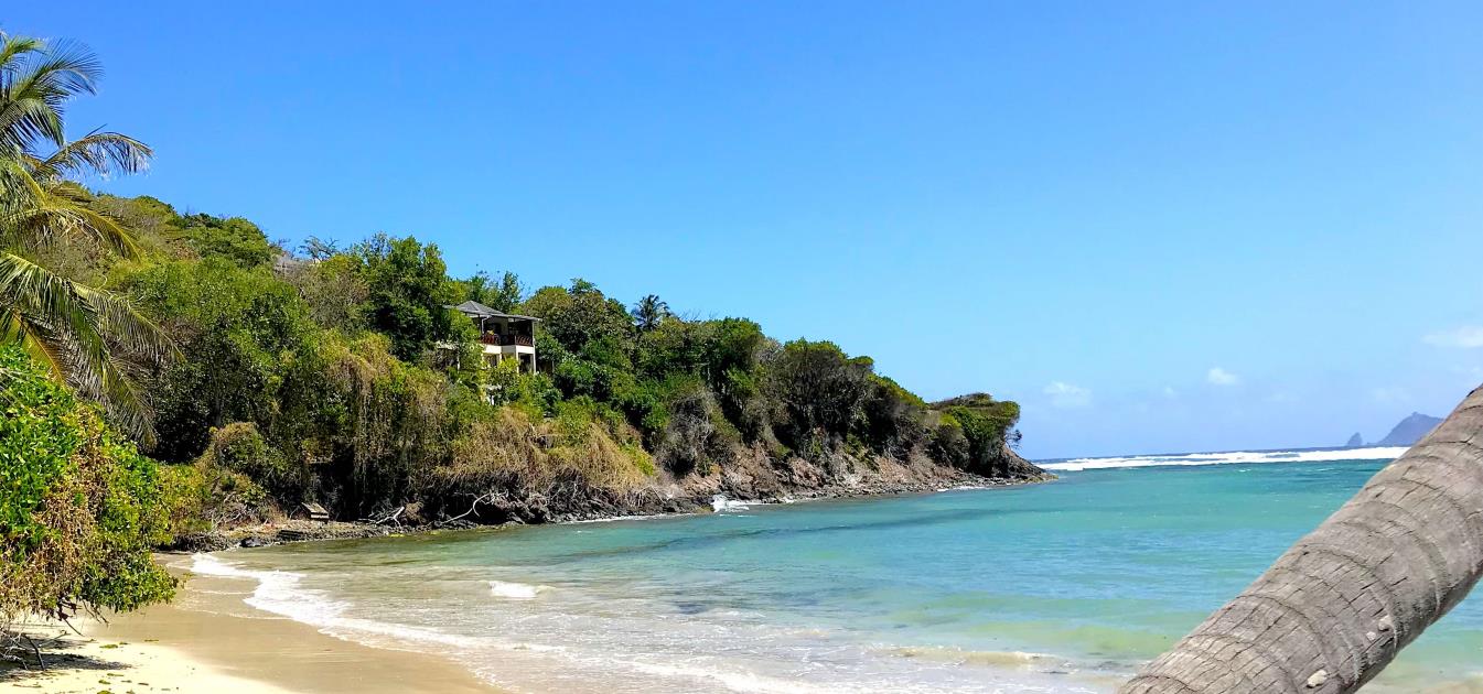 The Beach House