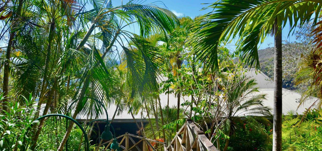 Sweet Wind 6.4 Acres