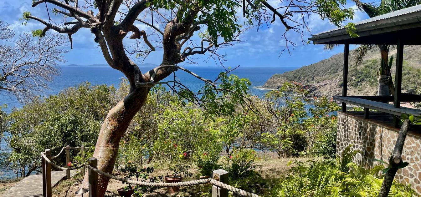 Sweet Wind 6.4 Acres