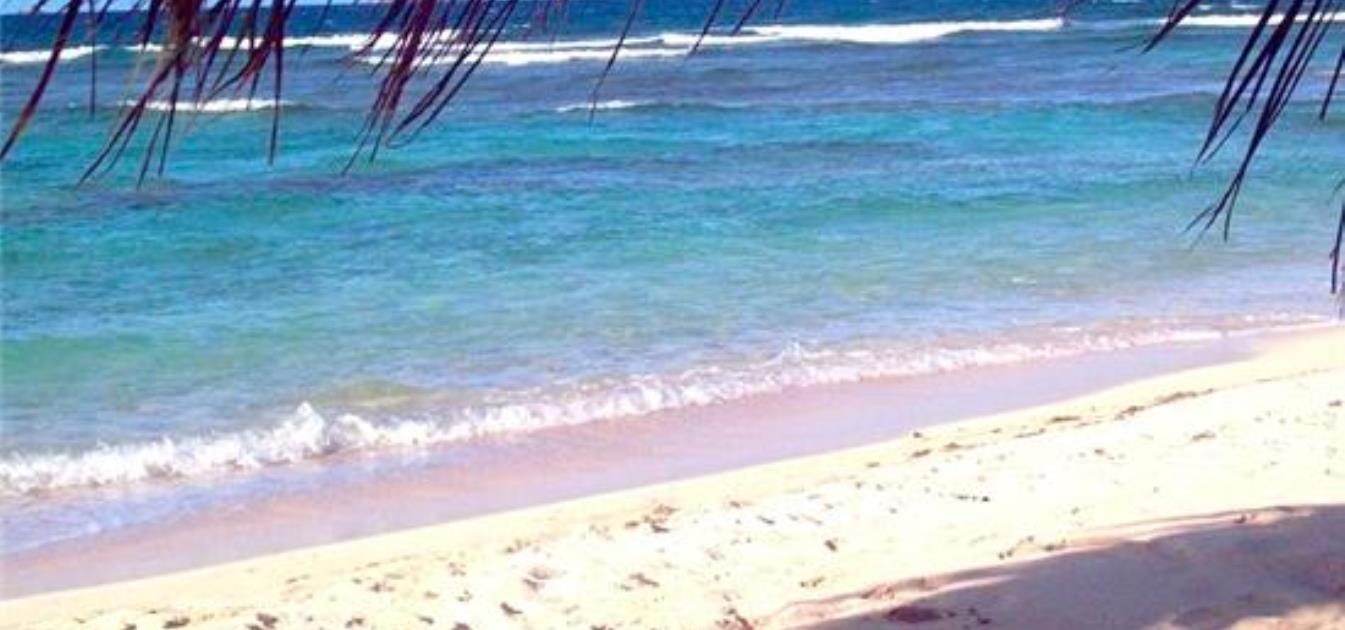 vacation-rentals/st-vincent-and-the-grenadines/union-island/union-island/the-islanders-inn