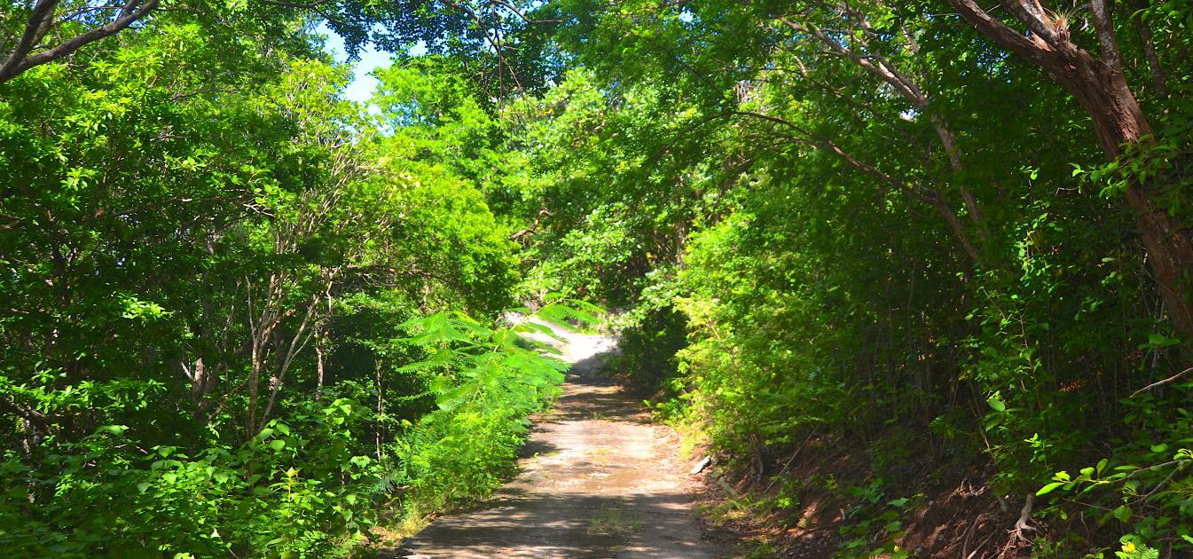 Bequia Estate Plot 6