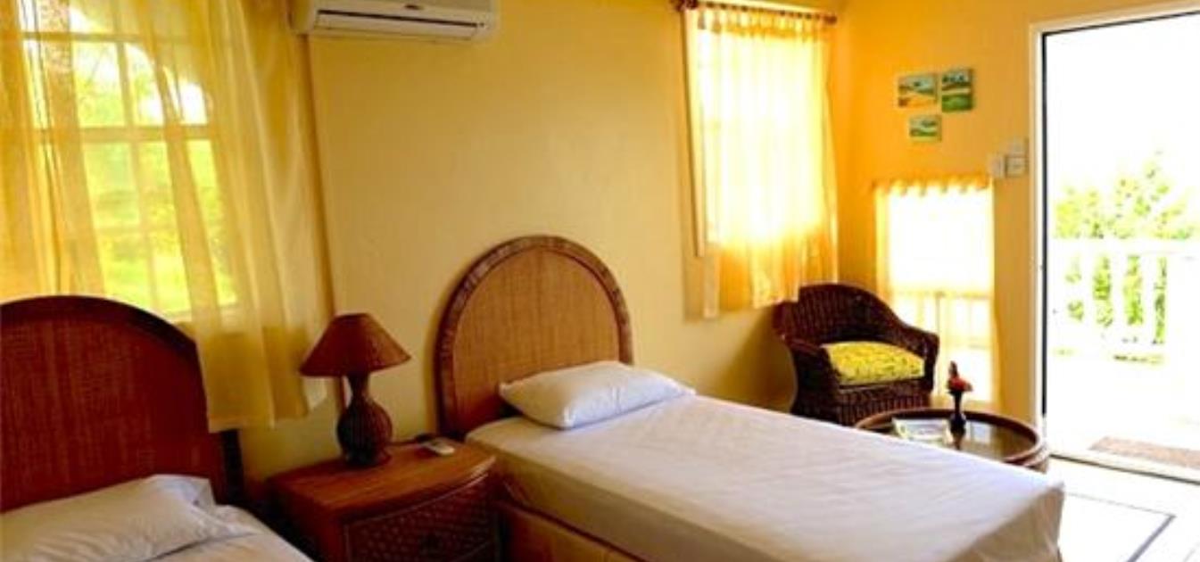 vacation-rentals/st-vincent-and-the-grenadines/union-island/ashton/st--josephs-apartment-twin