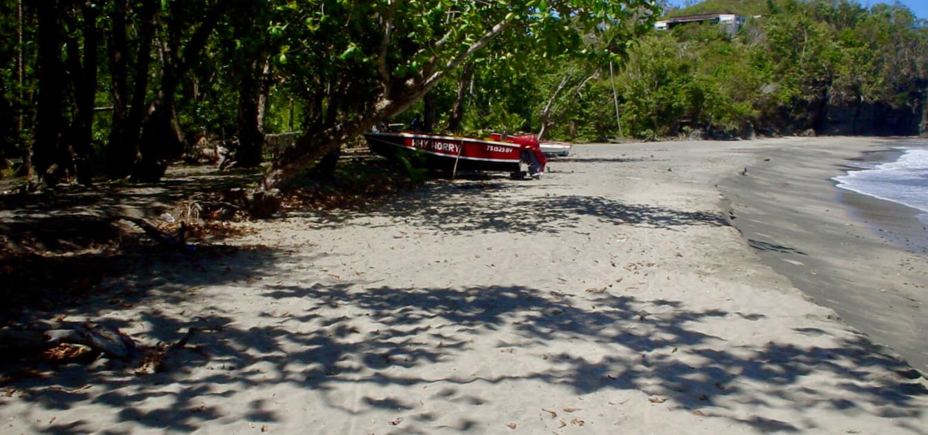 1 Acre Beachfront Lot