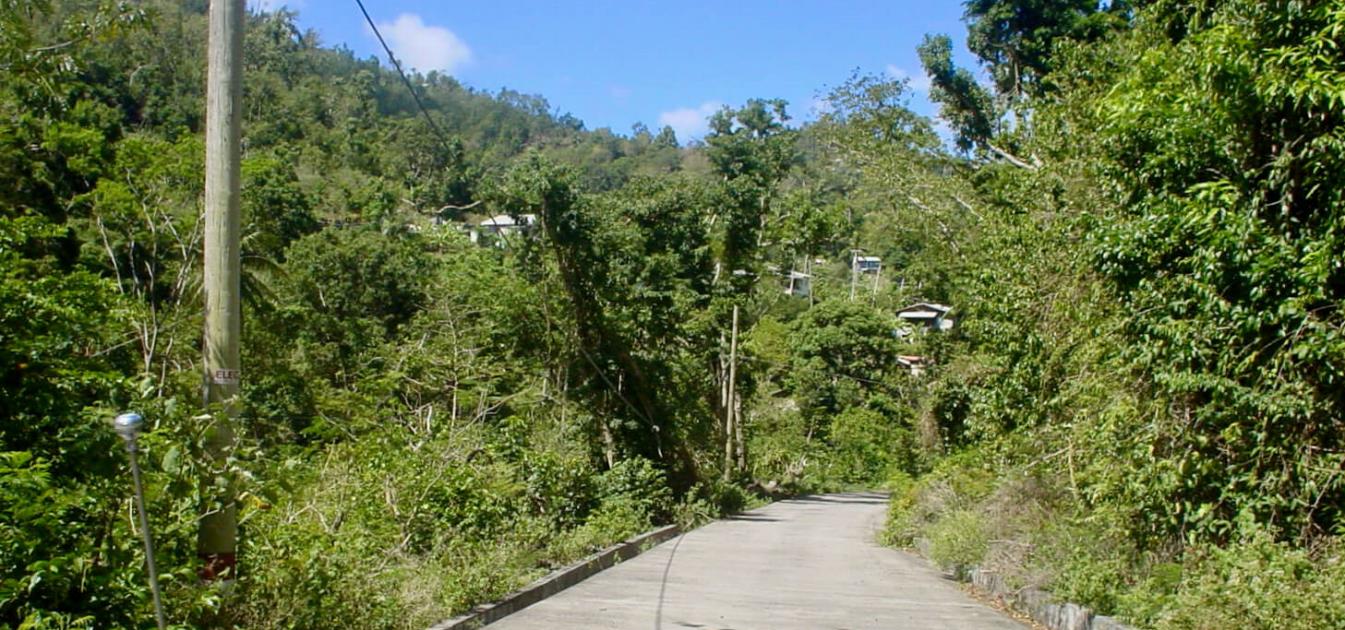 1 Acre Beachfront Lot