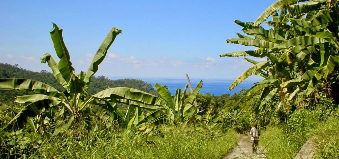 1 Acre Beachfront Lot