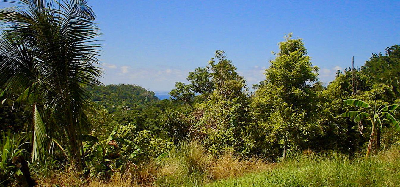 1 Acre Beachfront Lot