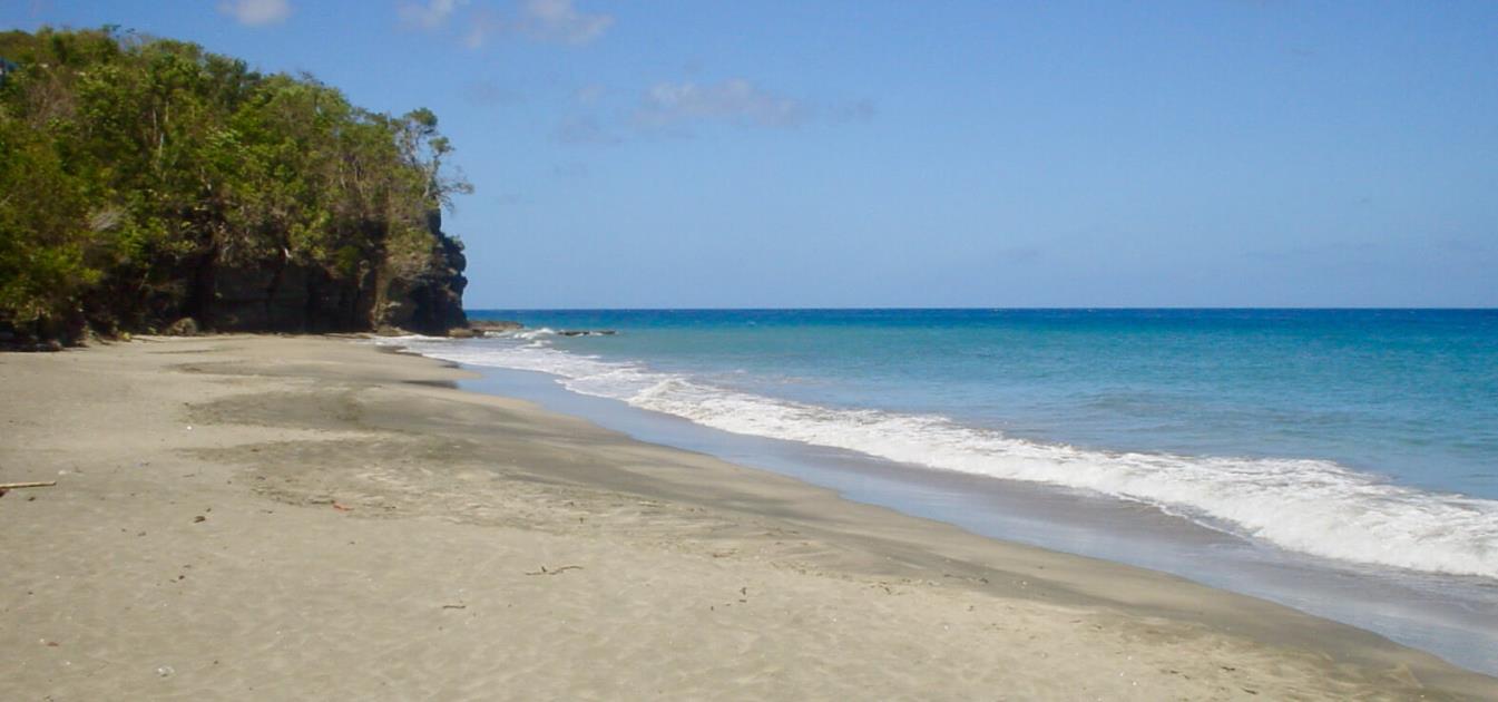 1 Acre Beachfront Lot