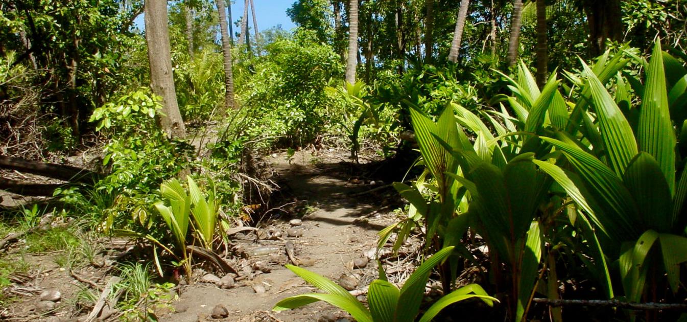 1 Acre Beachfront Lot