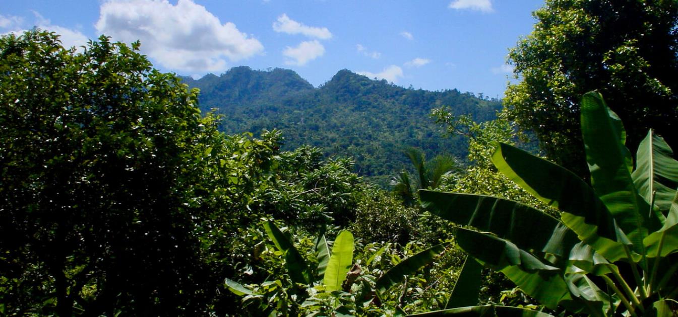 1 Acre Beachfront Lot