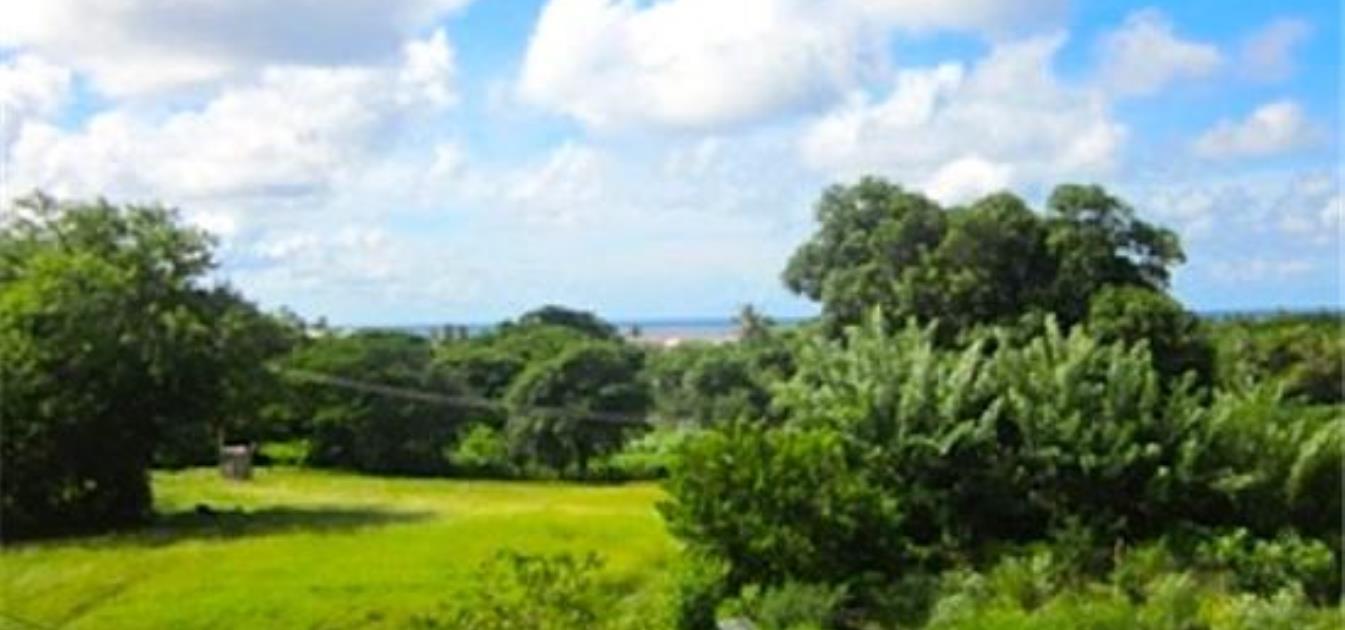 vacation-rentals/grenada/carriacou/hillsborough/sharmy's-apartment