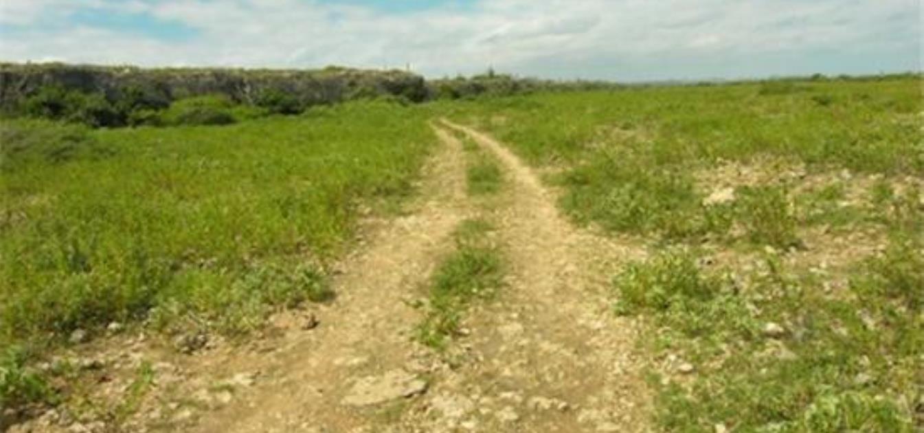 Yatu Baku 74 Acres