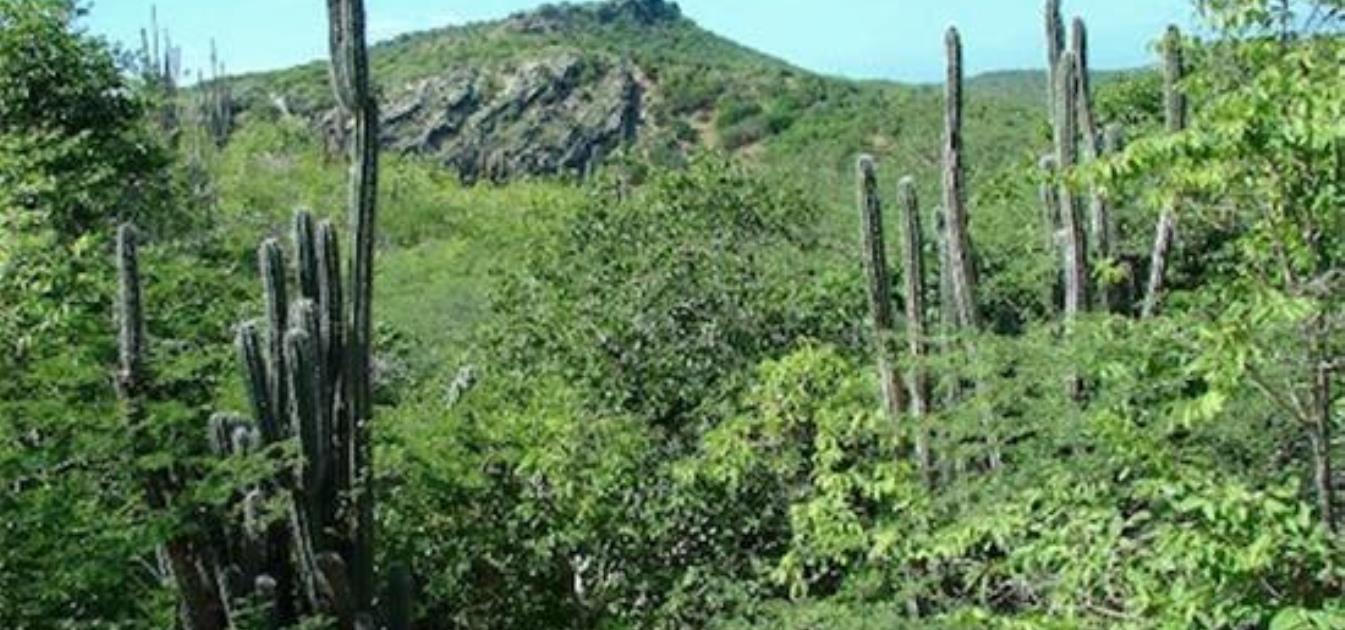 Yatu Baku 74 Acres