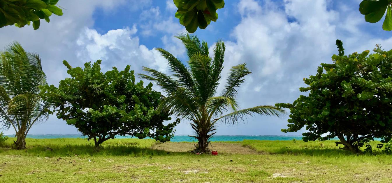 1 Acre Beachfront Land