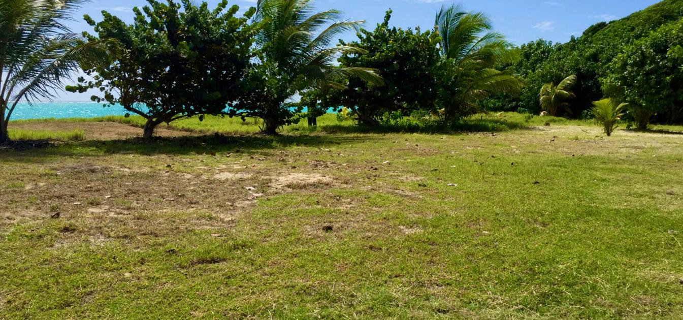 1 Acre Beachfront Land