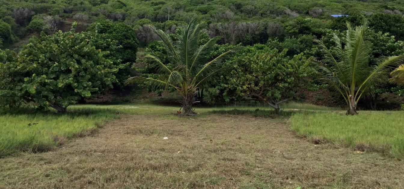 1 Acre Beachfront Land