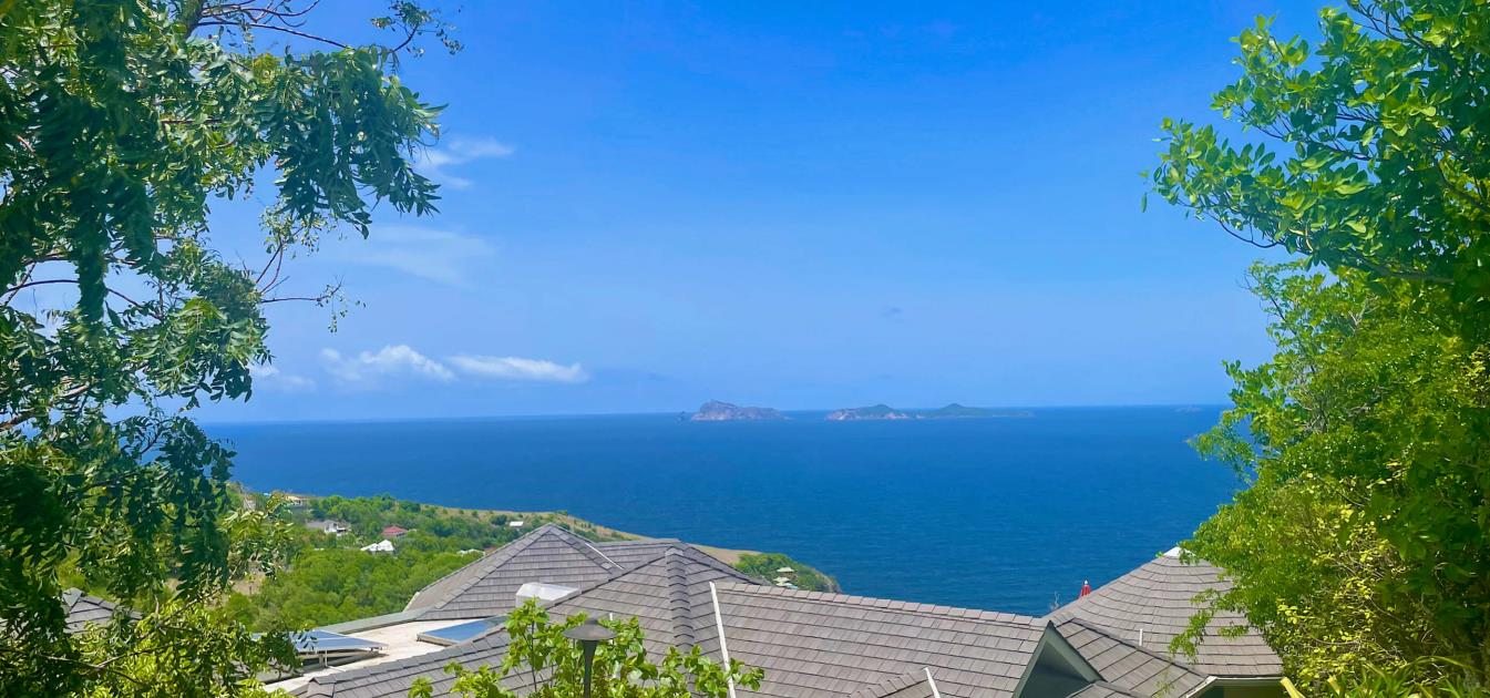 Friendship Heights Lot 25