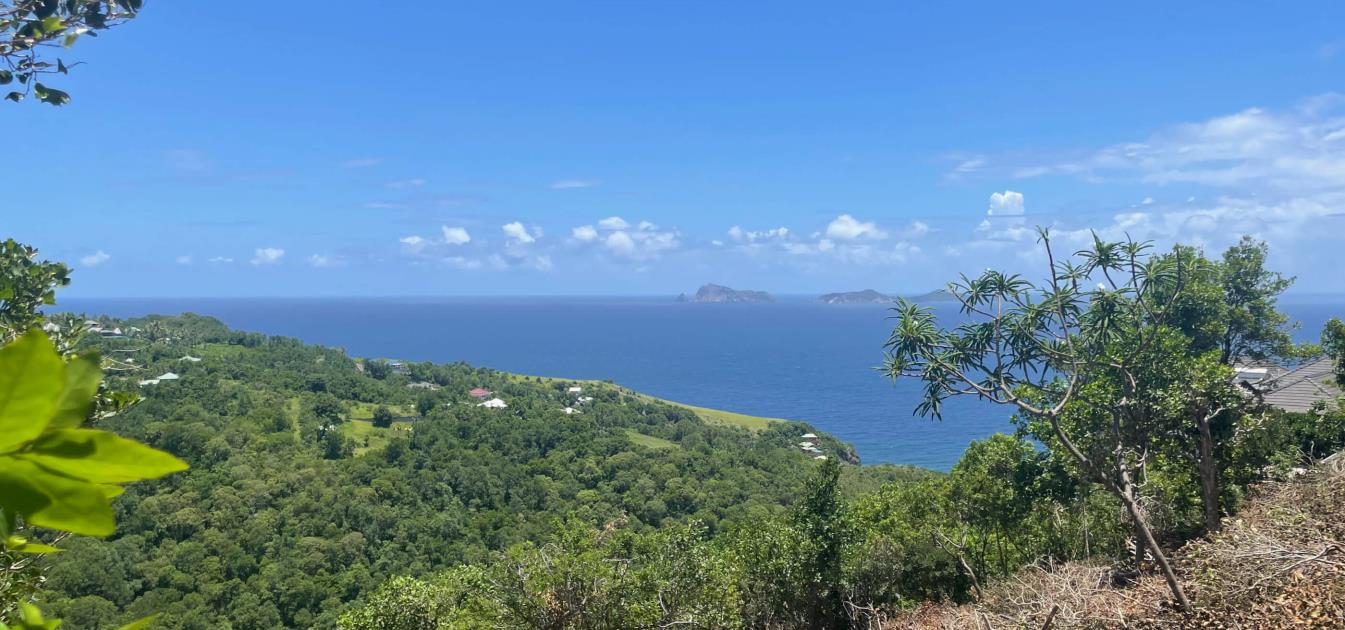 Friendship Heights Lot 25