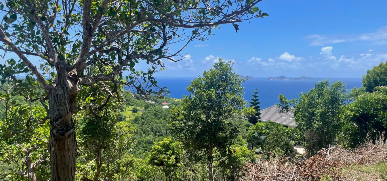 Friendship Heights Lot 25