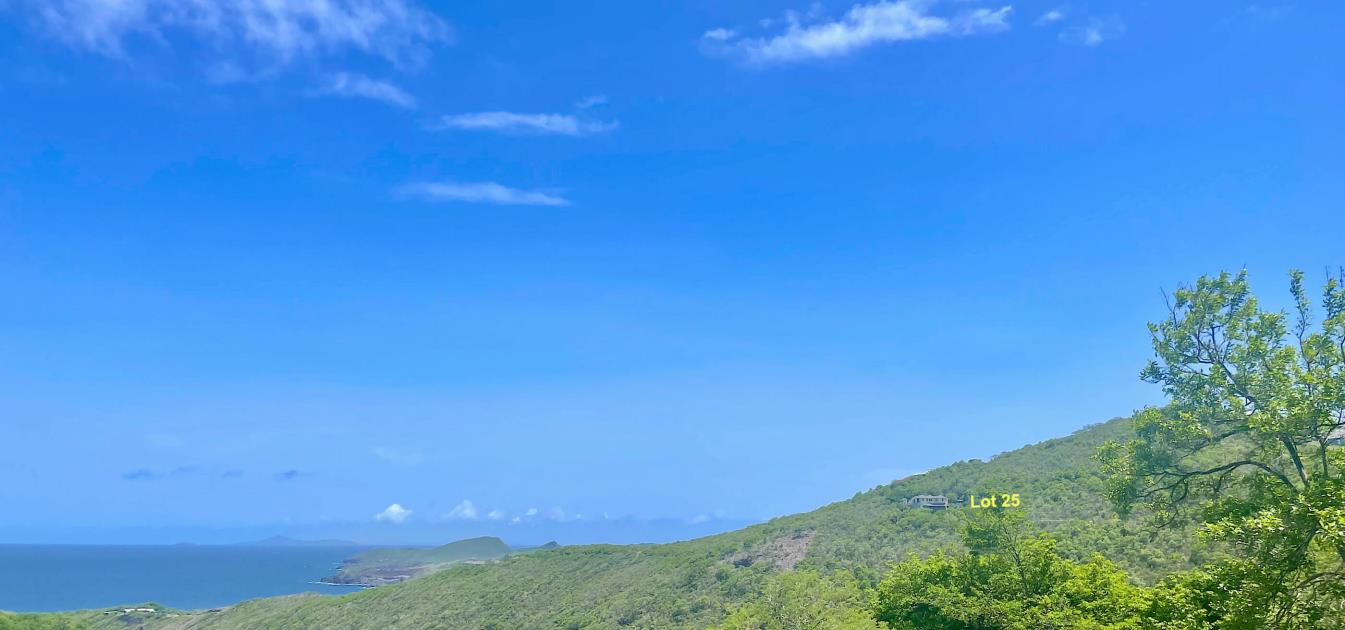 Friendship Heights Lot 25