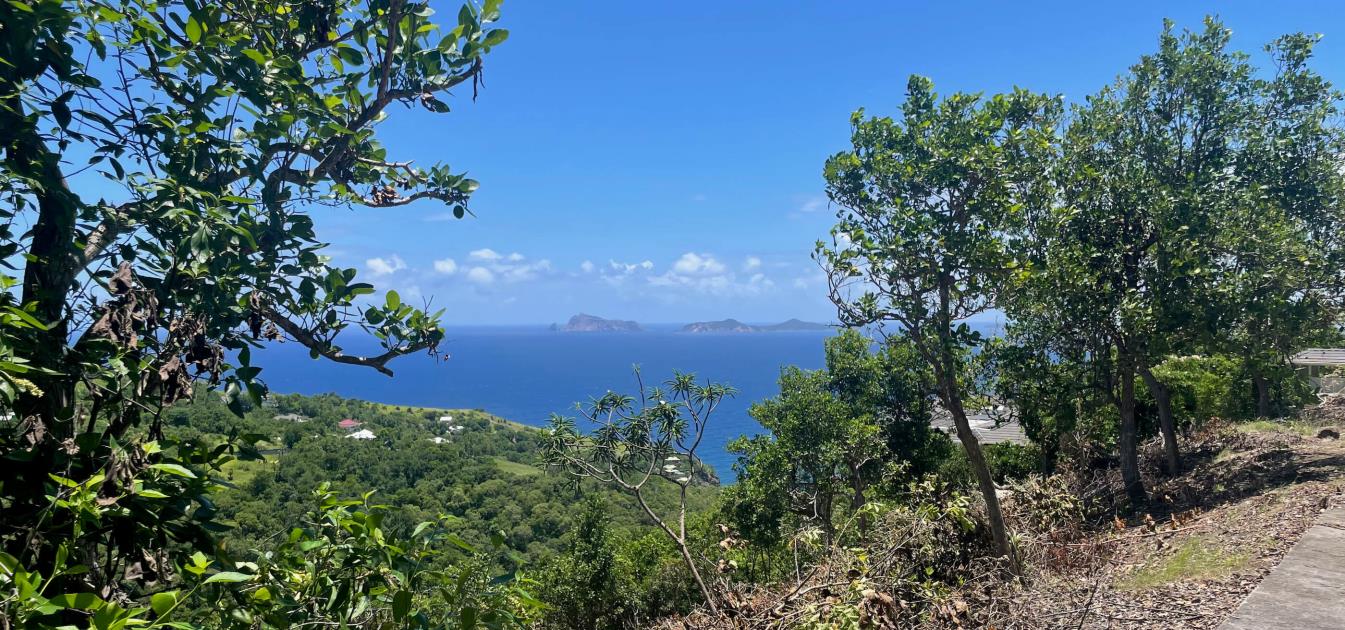 Friendship Heights Lot 25